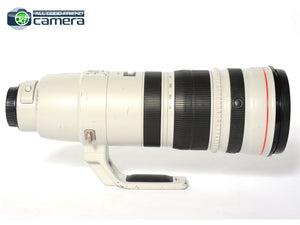 Canon EF 200-400mm F/4 L IS USM Lens Extender 1.4x