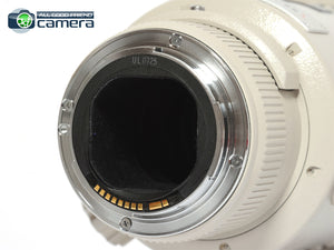 Canon EF 300mm F/2.8 L USM Lens *EX+*
