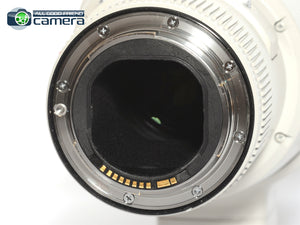 Canon EF 500mm F/4 L IS II USM Lens *MITN-*