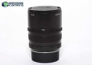 Leica APO-Summicron-M 75mm F/2 ASPH. Lens Black 11637 *BRAND NEW*